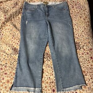 Democracy ankle jeans